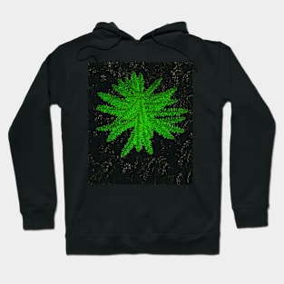 Tree Hoodie